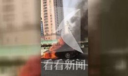 延安吃瓜事件视频播放,网络热议背后的真相与反思