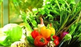 成都云立方吃瓜,揭秘网红美食背后的“吃瓜”故事