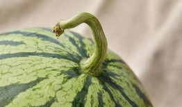 上海筠哥吃瓜,揭秘娱乐圈幕后故事