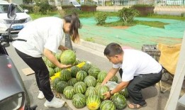 吃瓜日常元慕,元慕带你领略娱乐圈的酸甜苦辣
