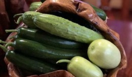 眉山网红吃瓜,揭秘网络红人的幕后故事