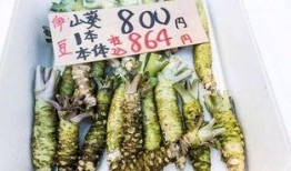 鹤千渡吃瓜,揭秘娱乐圈的“吃瓜”风云