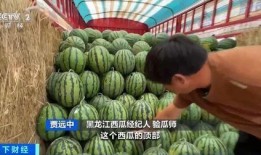 吃瓜大香,一场味蕾的狂欢之旅