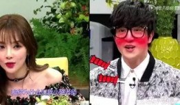 轮番吃瓜,娱乐圈风云变幻，揭秘明星幕后故事