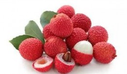 吃瓜群众荔枝,揭秘网络红人的崛起之路