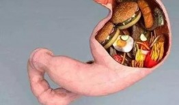 女的吃内脏吃瓜好吗视频,揭秘女性食用内脏的饮食误区与真相