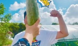 91吃瓜中心吃最火的瓜体育老师,揭秘校园风云瓜