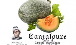 中山中专吃瓜号,吃瓜号带你探秘校园风云