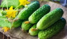 带你吃瓜第20集,揭秘幕后真相，热点事件深度解析