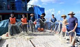 中国渔民吃瓜新闻,引发全民热议