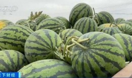 吃瓜网站国内,热门事件背后的真相与趣味