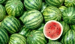 别往下翻了 吃瓜