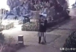 莒南吃瓜事件视频曝光,视频曝光引发社会关注