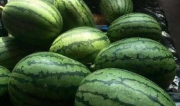 唐18吃瓜全集,娱乐圈风云再起