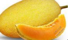 孕妇吃蜜瓜呕吐,孕期饮食小贴士