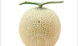 网上吃瓜头像,从吃瓜头像看流行文化演变