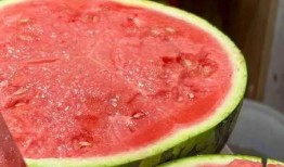 吃瓜不要钱有什么好处,揭秘免费瓜子的五大益处