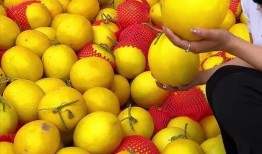 梦到果园吃瓜,瓜果飘香，甜蜜回味