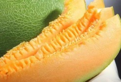 吃绿蜜瓜,甜蜜滋味，健康生活新选择