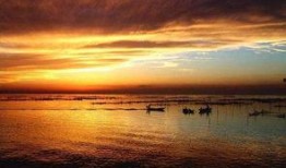 阳澄湖畔吃瓜,品味江南水乡休闲时光