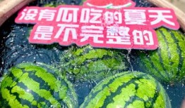 吃瓜集合了,揭秘网络热议背后的真相与趣味