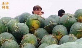 最近大行吃瓜现场,大行“吃瓜”现场，内幕曝光！