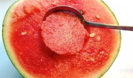 上朝吃瓜系统升级,全新功能解锁，宫廷八卦一网打尽