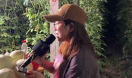 瓜田吃瓜剧情,一场意外的甜蜜邂逅