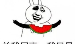 把瓜给我吃,共享美好时光