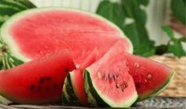 寒瓜发芽可以吃不,意外收获的绿色美食之旅