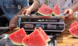 吃瓜恶心呕吐,揭秘背后的健康隐患