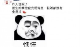 吃瓜不如渴,探寻生活中的深层需求与满足