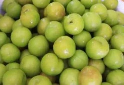 吃吊瓜血糖会升高吗吗,吊瓜食用对血糖影响解析