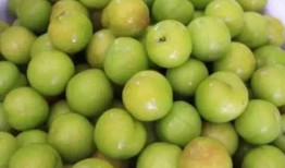 吃吊瓜血糖会升高吗吗,吊瓜食用对血糖影响解析