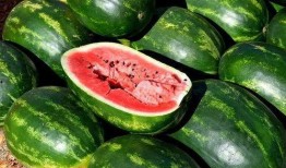 好吃的吃瓜视频,好吃瓜视频大揭秘