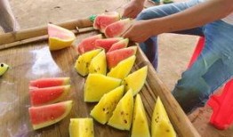 梦到果园吃瓜,瓜果飘香，甜蜜回味