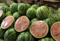 吃瓜日常元慕,元慕带你领略娱乐圈的酸甜苦辣