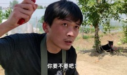 在线吃瓜是真的吃瓜吗,在线吃瓜，究竟是不是真的吃瓜？