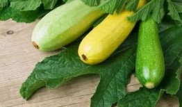 分享最近吃的瓜,明星们的甜蜜瓜料大揭秘！