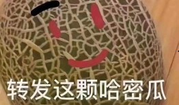 吃瓜文案抽象句子,揭秘吃瓜文案背后的趣味与智慧