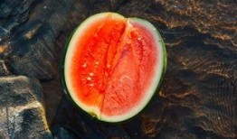 咖啡豆吃瓜,一场味蕾的盛宴