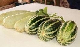 采瓜怎么吃,探索多种瓜类食用新方式