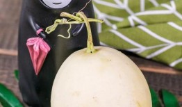 网心科技吃瓜,揭秘“吃瓜”背后的科技力量