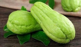 楼兰密瓜孕妇可以吃,孕妇的天然美味选择