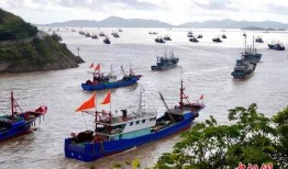 东海渔船吃瓜,海上瓜田里的丰收故事