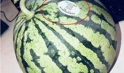 眉山网红吃瓜,揭秘网络红人的幕后故事