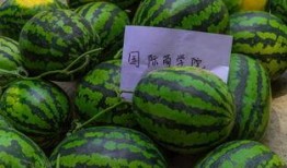 南京传媒学院 吃瓜,吃瓜群众眼中的校园风云