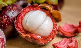 晚上吃小乳瓜吃几根,适量几根，健康美味两不误