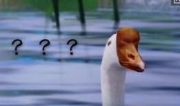 江湖吃瓜动画,吃瓜群众的动画盛宴