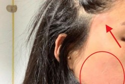 潘南奎吃瓜资源,揭秘网络红人的吃瓜盛宴